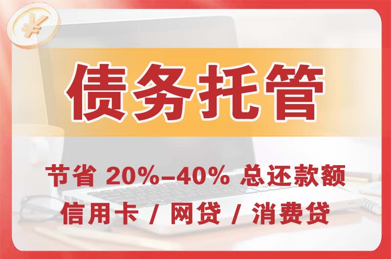 双鸭山债务托管